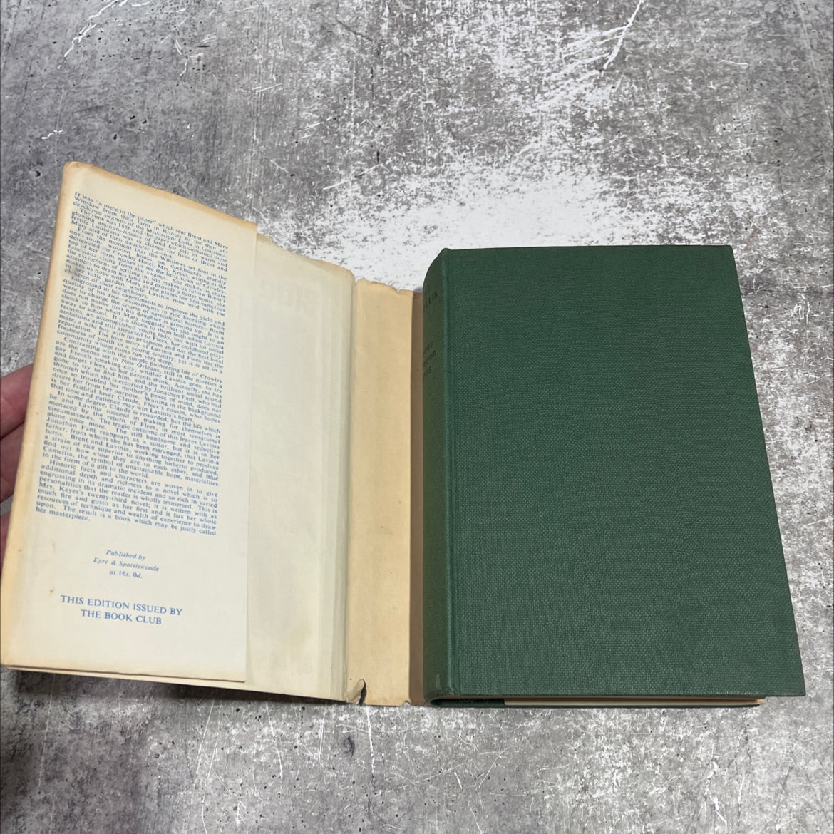 blue camellia book, by frances parkinson keyes, 1957 Hardcover image 4