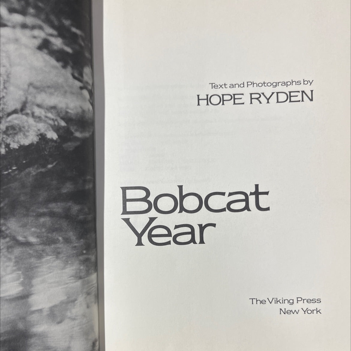 bobcat year book, by hope ryden, 1981 Hardcover image 2