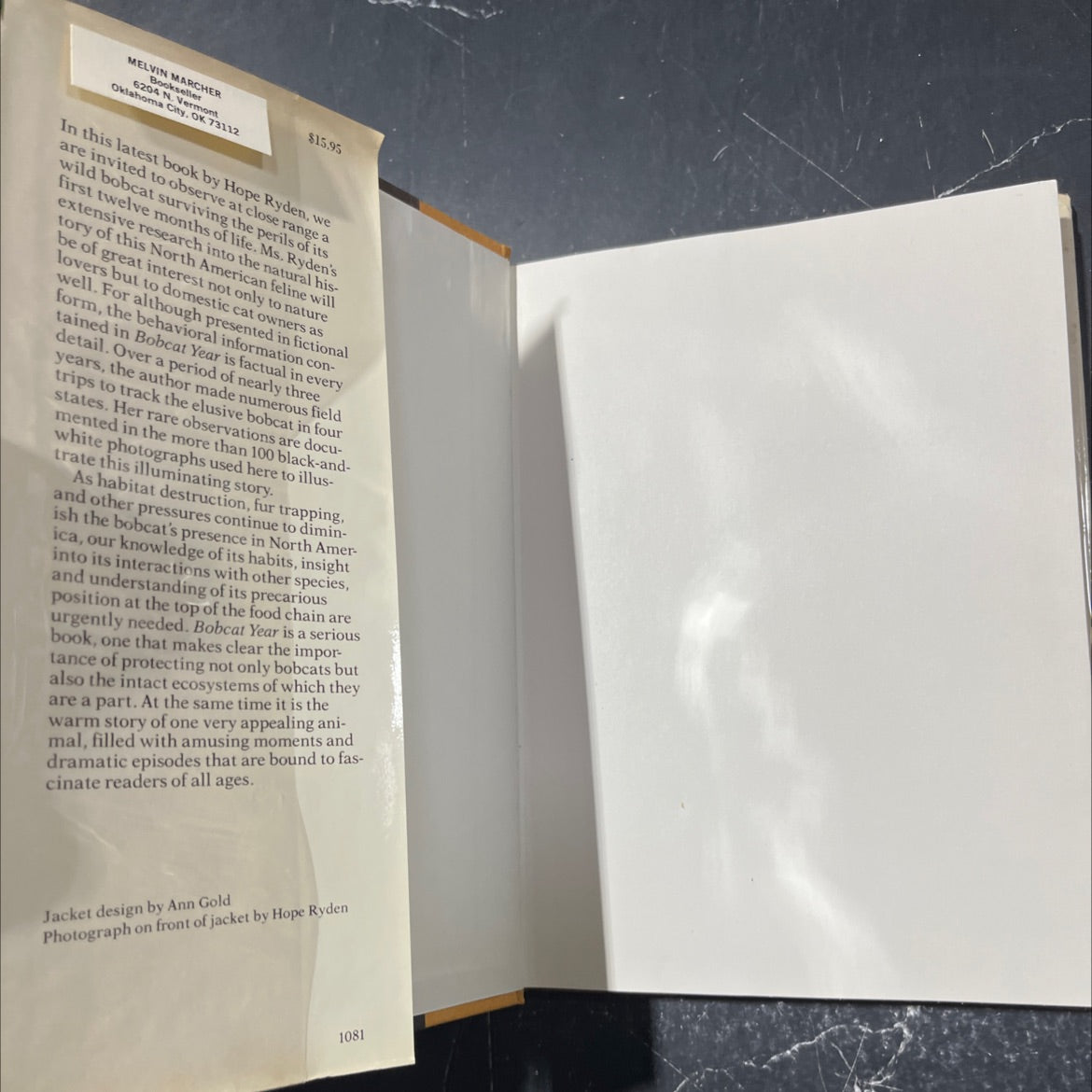 bobcat year book, by hope ryden, 1981 Hardcover image 4