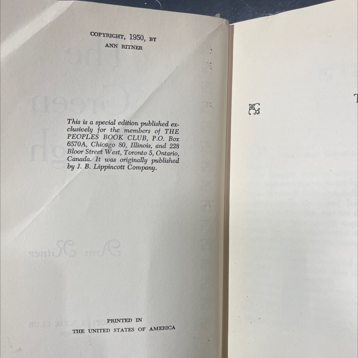 bough the green book, by ann ritner, 1997 Hardcover image 3