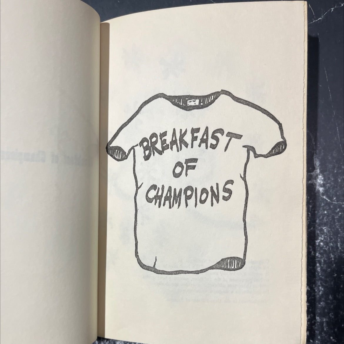 breakfast of champions book, by kurt vonnegut, jr., 1973 Hardcover image 2