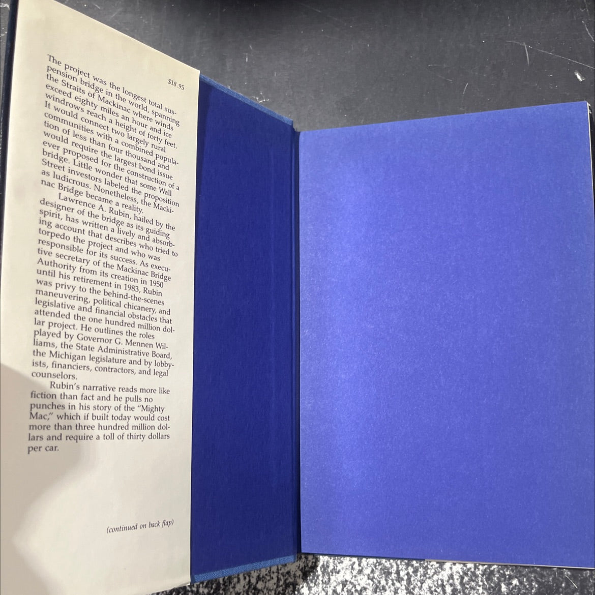 bridging the straits the story of mighty mac book, by lawrence a. rubin, 1985 Hardcover image 4