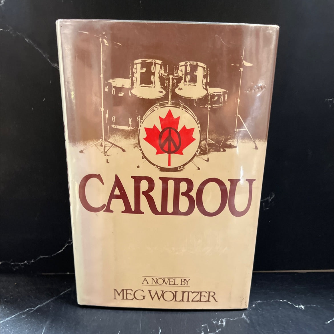 caribou book, by meg wolitzer, 1985 Hardcover image 1