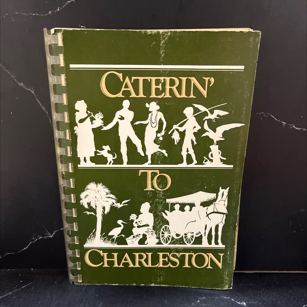 caterin' to charleston book, by gloria mann maynard, meredith maynard, chase holly maynard jenkins, 1986 Paperback image 1