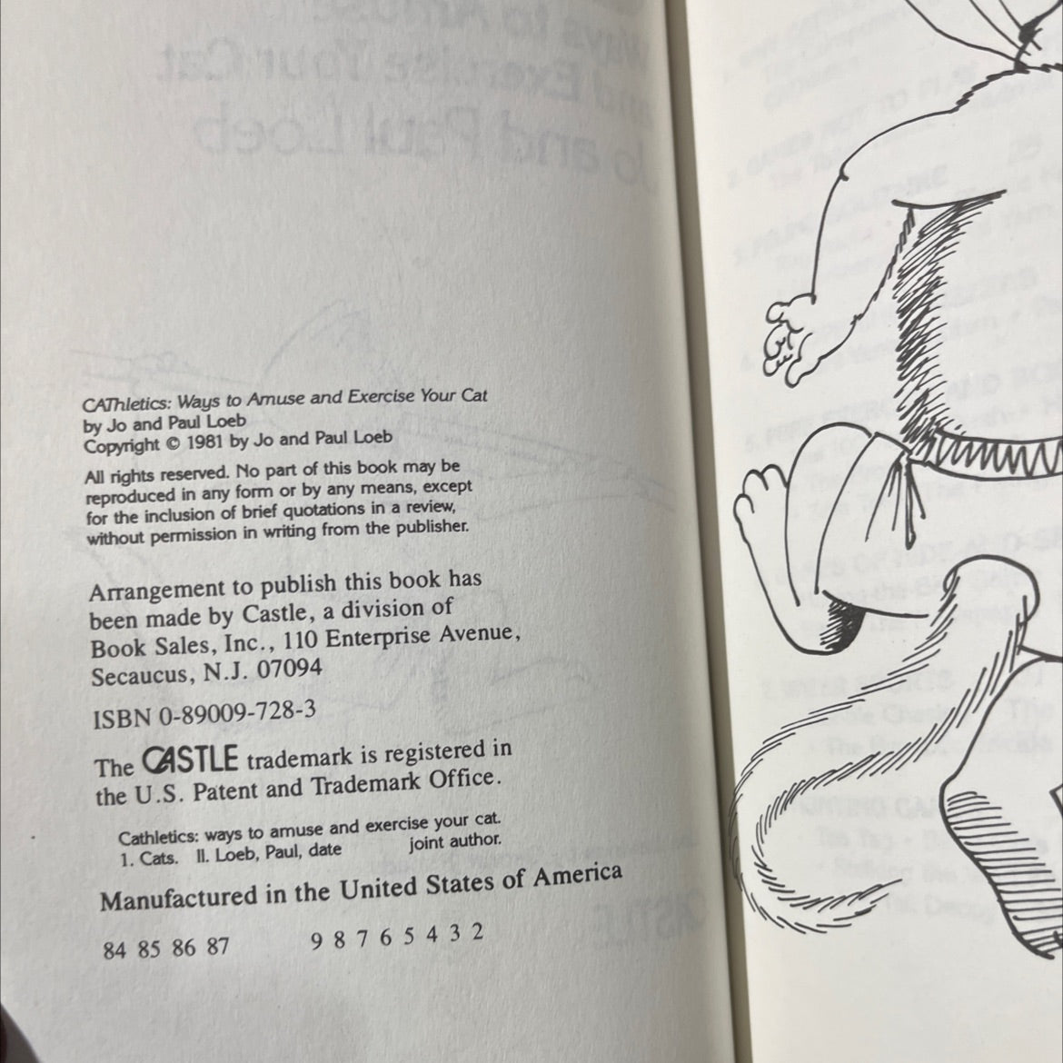cathletics ways to amuse and exercise your cat book, by Jo and Paul Loeb, 1981 Hardcover image 3