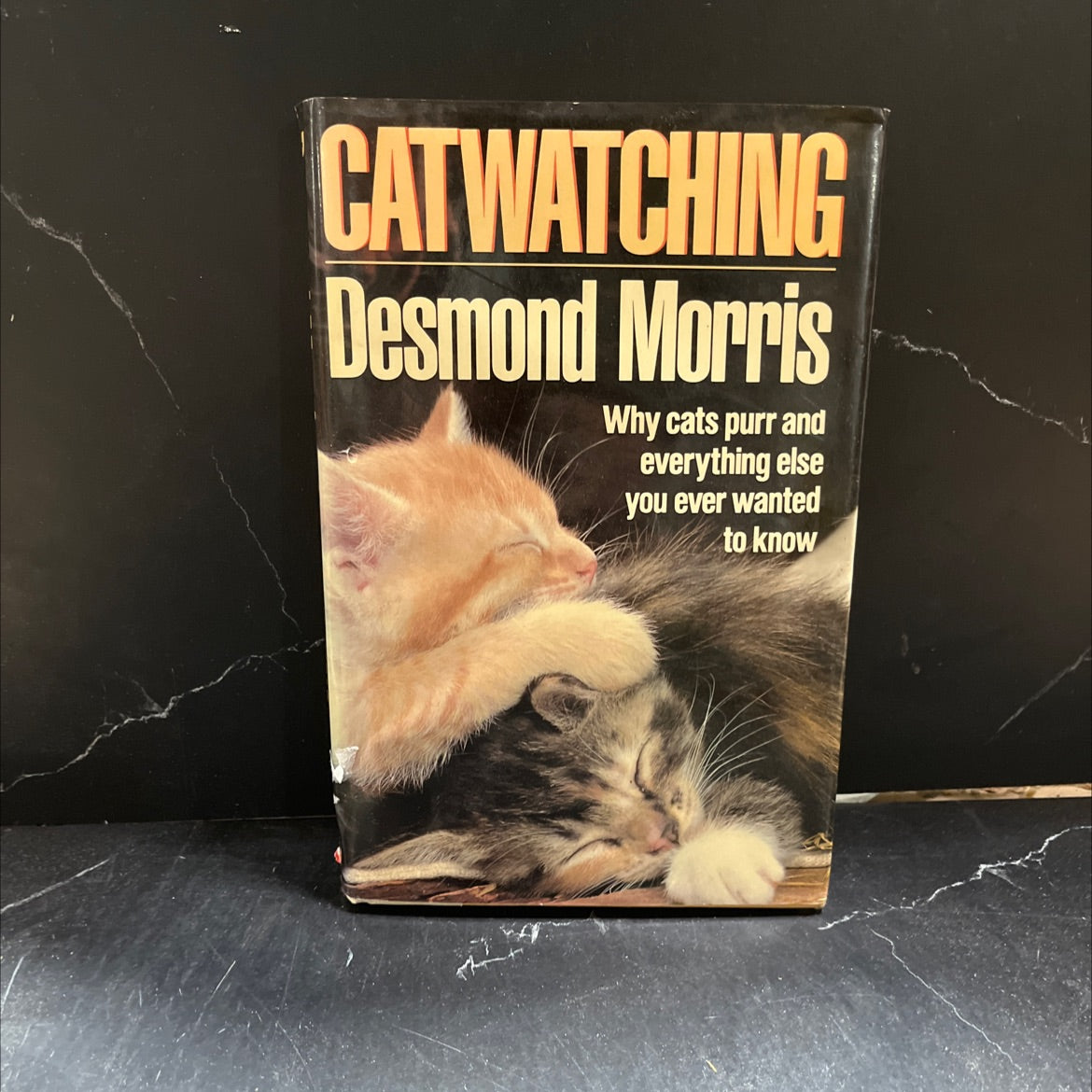 catwatching book, by desmond morris, 1986 Hardcover image 1
