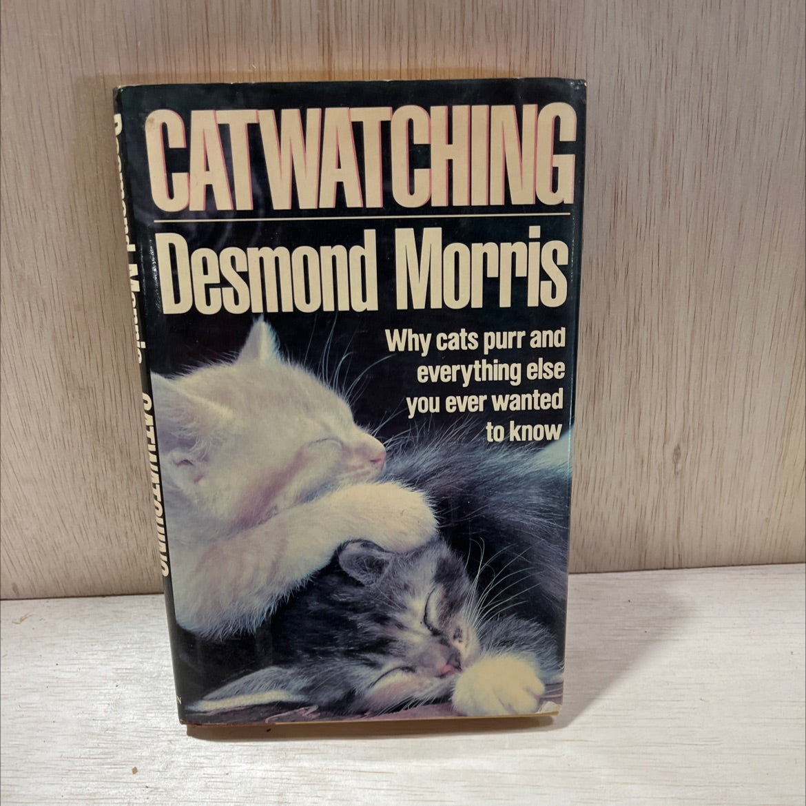 catwatching book, by Desmond Morris, 1987 Hardcover, First Edition, Vintage image 1