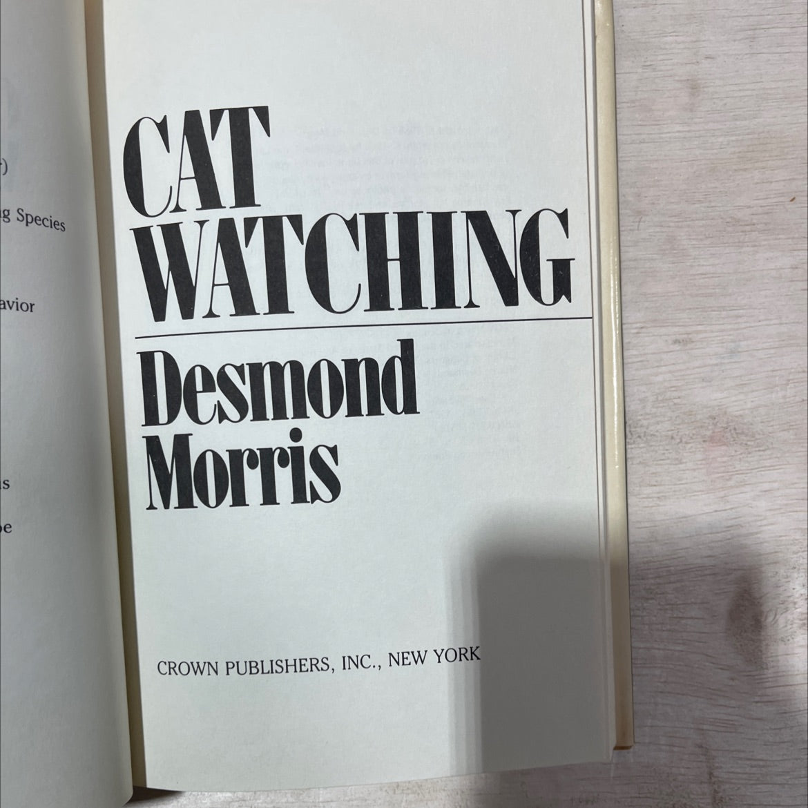 catwatching book, by Desmond Morris, 1987 Hardcover, First Edition, Vintage image 2