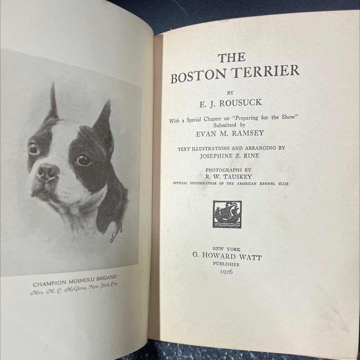 champion mosholu brigand book, by Mrs. M. C. McGlone, 1926 Hardcover image 2