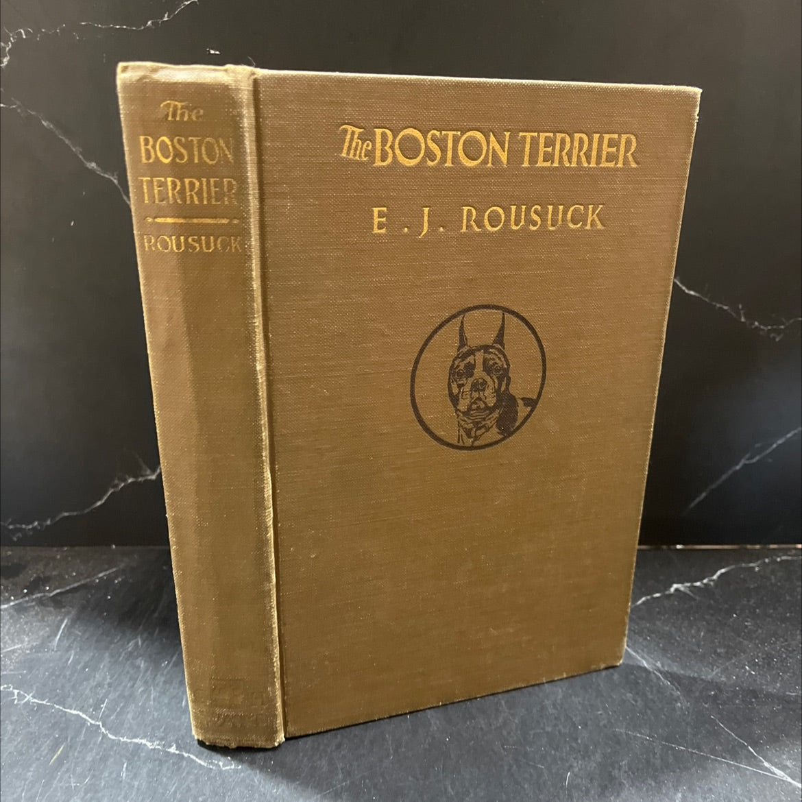 champion mosholu brigand book, by Mrs. M. C. McGlone, 1926 Hardcover image 1