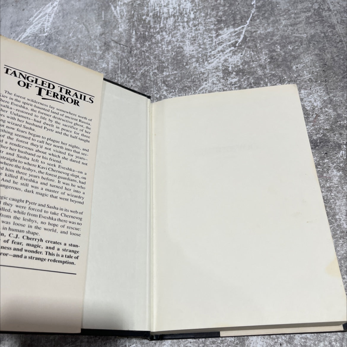 chernevog book, by C.J. Cherryh, 1990 Hardcover image 4