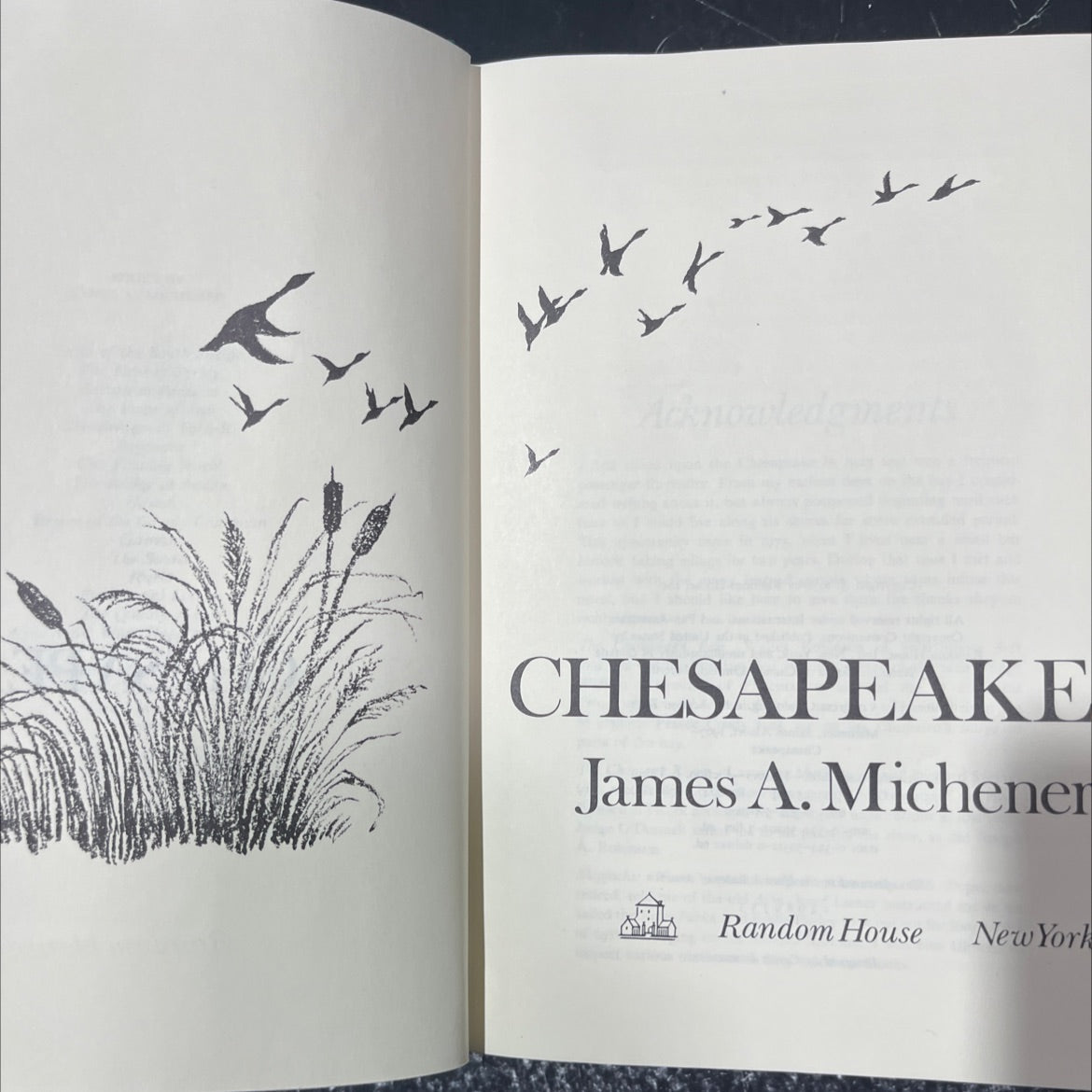 chesapeake book, by james a. michener, 1978 Hardcover image 2