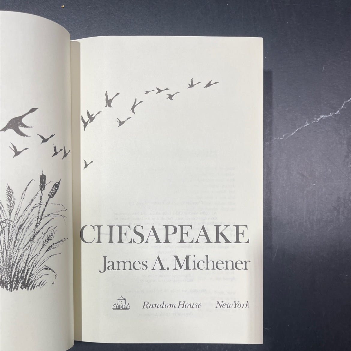 chesapeake book, by James A. Michener, 1978 Hardcover image 2
