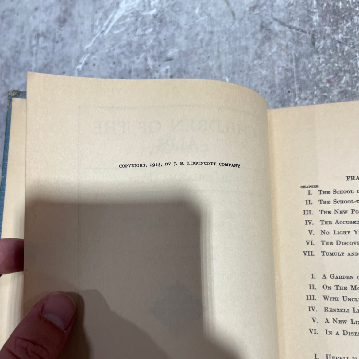 children of the alps book, by johanna spyri, 1925 Hardcover image 3