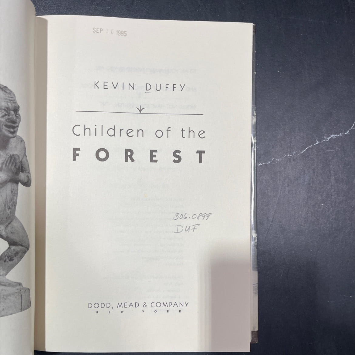 children of the forest book, by kevin duffy, 1985 Hardcover, Heavily Used image 2