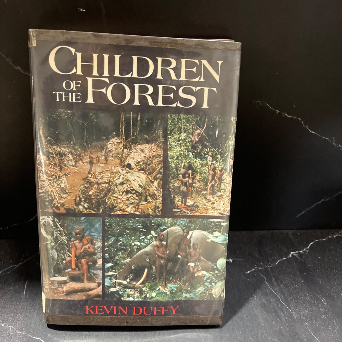 children of the forest book, by kevin duffy, 1985 Hardcover, Heavily Used image 1
