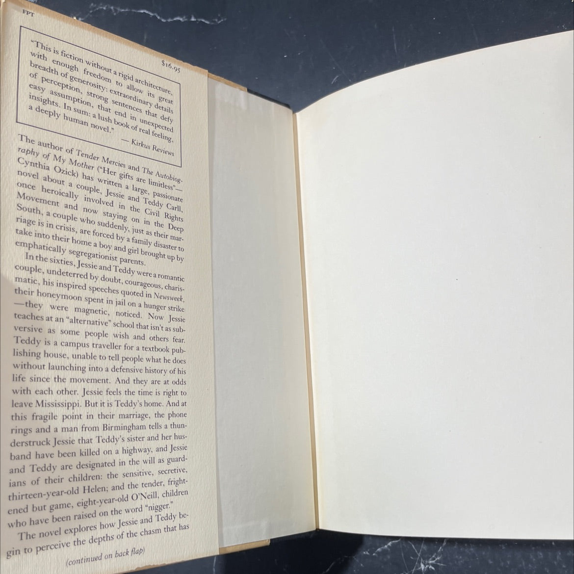 civil wars book, by Rosellen Brown, 1984 Hardcover image 4