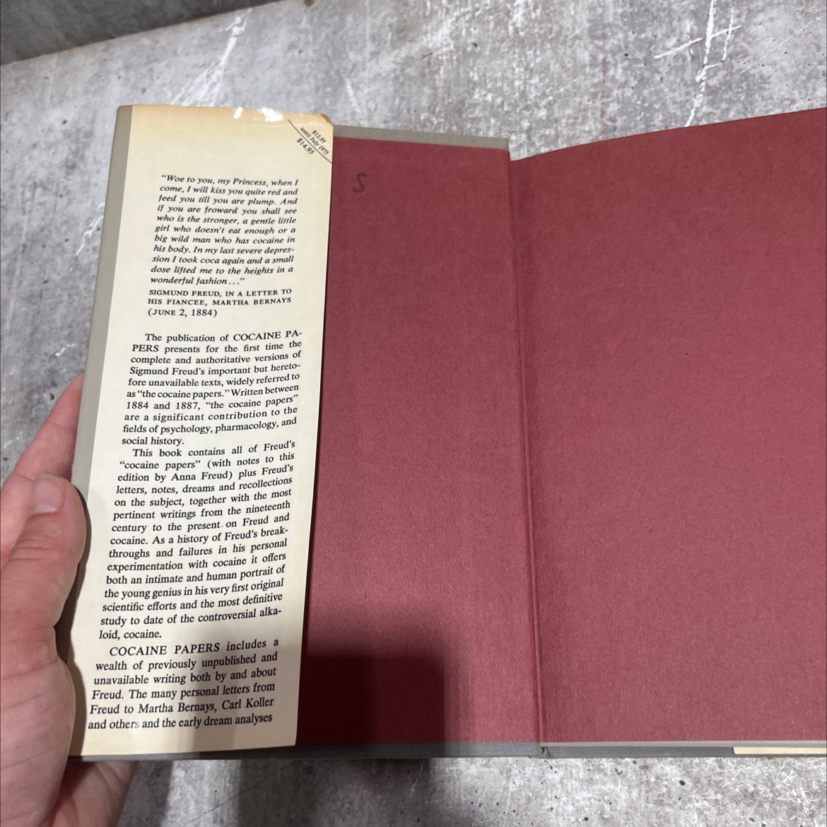 cocaine papers book, by sigmund freud, 1974 Hardcover image 4