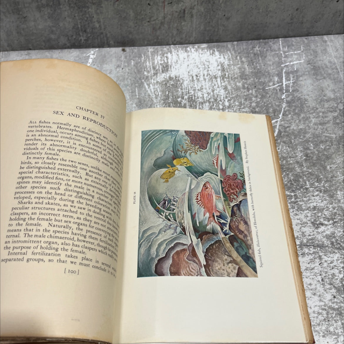 cold-blooded vertebrates part i fishes book, by samuel f. hildebrand, 1934 Hardcover image 4