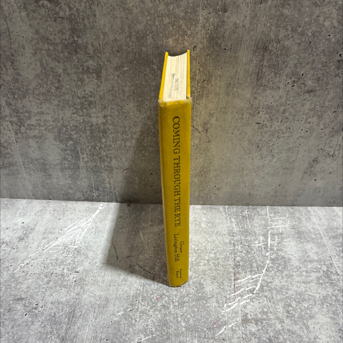 coming through the rye book, by grace livingston hill, 1976 Hardcover image 4