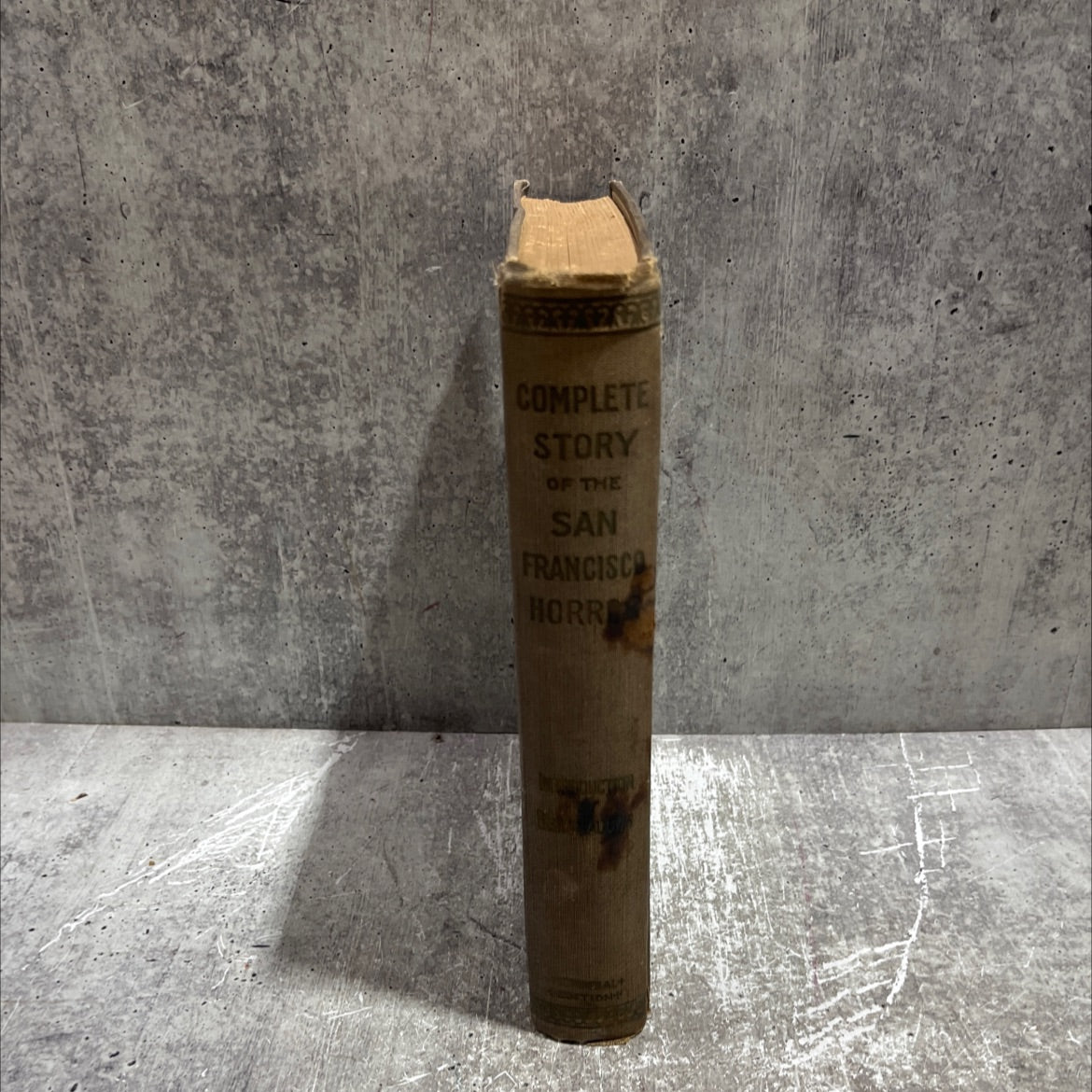 complete story of the san francisco horror book, by trumbull white, 1906 Hardcover image 4