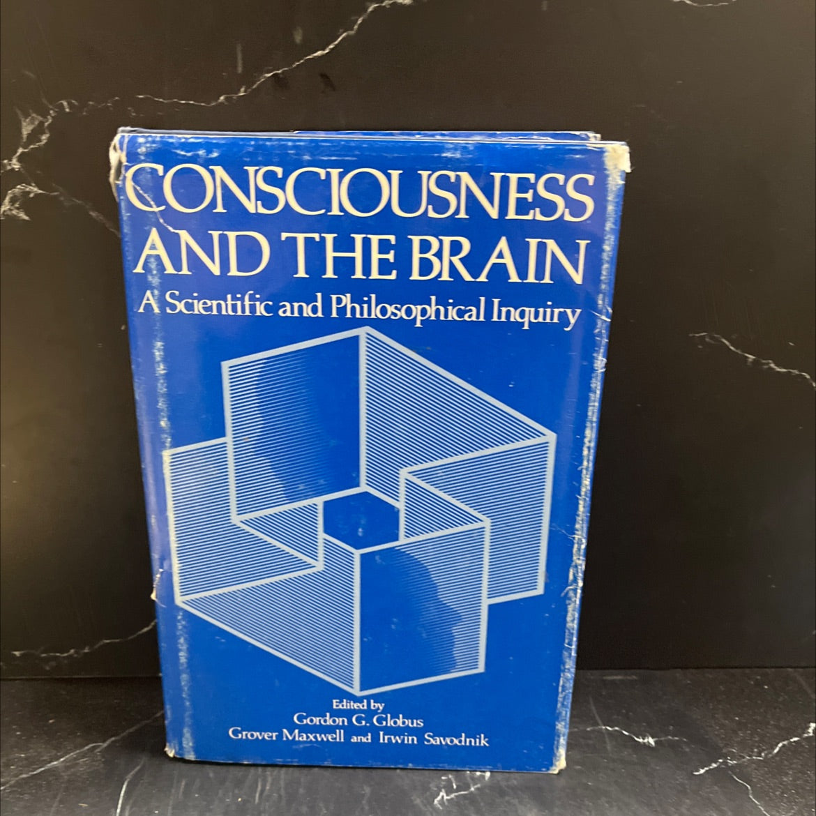 consciousness and the brain a scientific and philosophical inquiry book, by Gordon G. Globus, Grover Maxwell, Irwin image 1