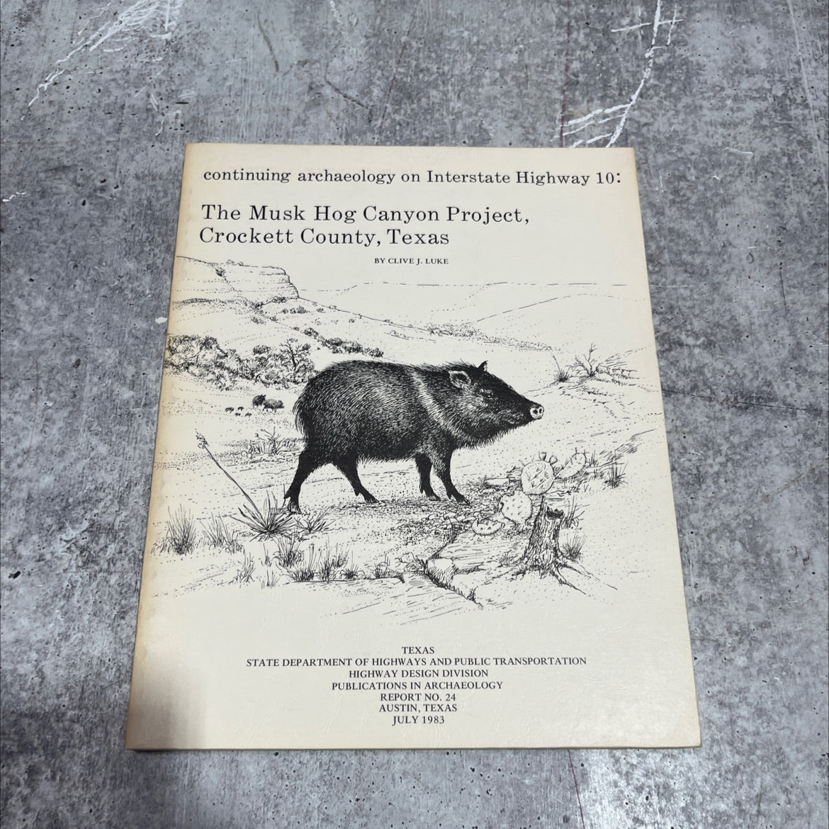 continuing archaeology on interstate highway 10: the musk hog canyon project, crockett county, texas book, by Clive J. image 1