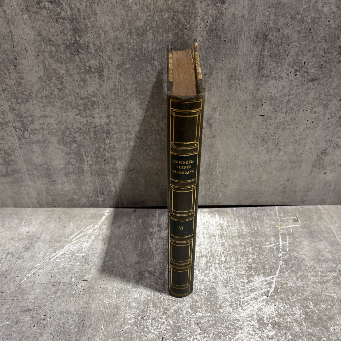 copfindelsernes sejrsgang book, by borge houmann, 1970 Leather image 4