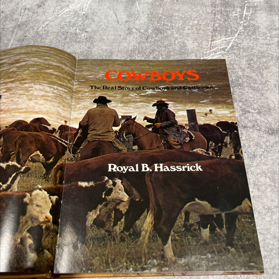 cowboys the real story of cowboys and cattlemen book, by Royal B. Hassrick, 1974 Hardcover image 2