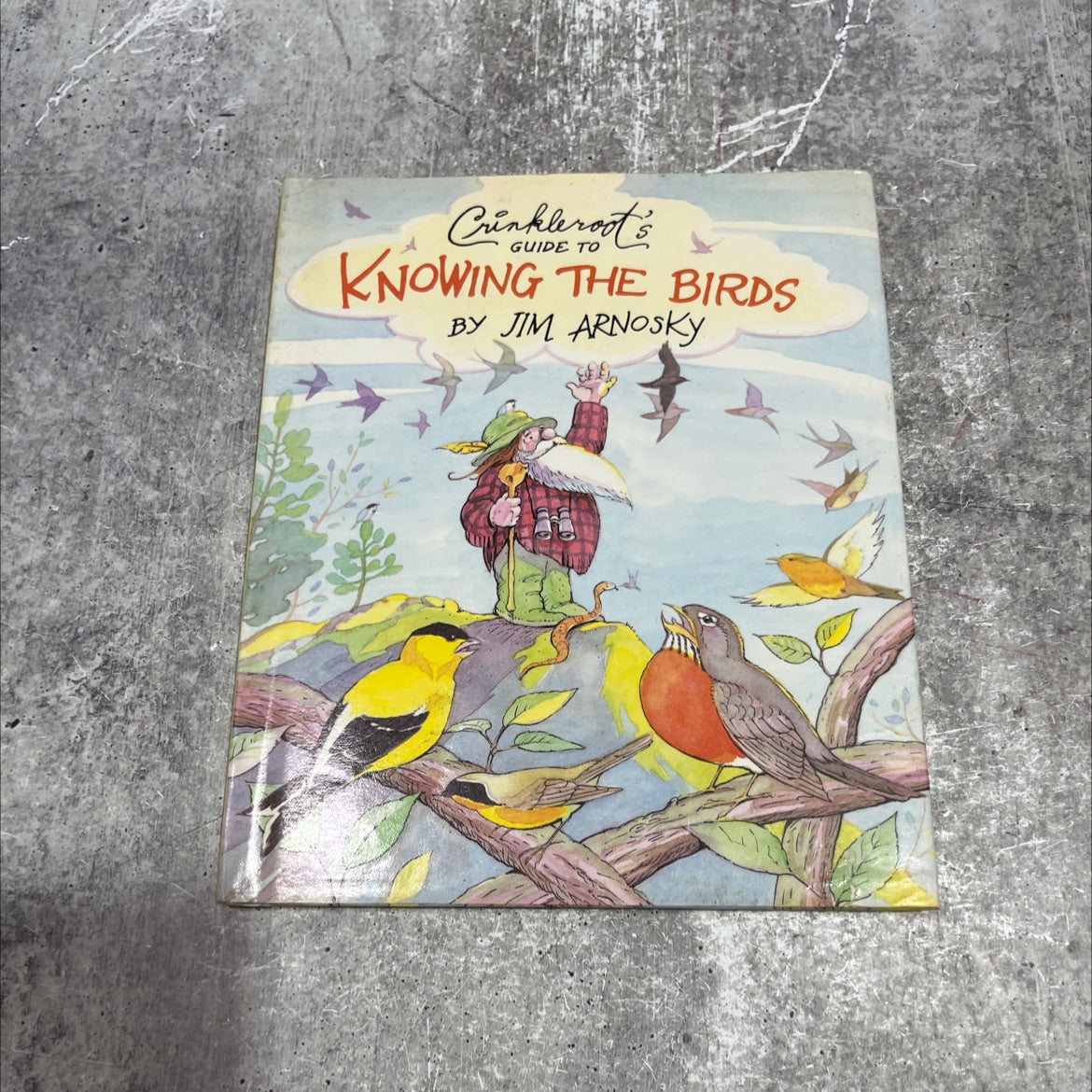 crinkleroot's guide to knowing the birds book, by Jim Arnosky, 1992 Hardcover image 1