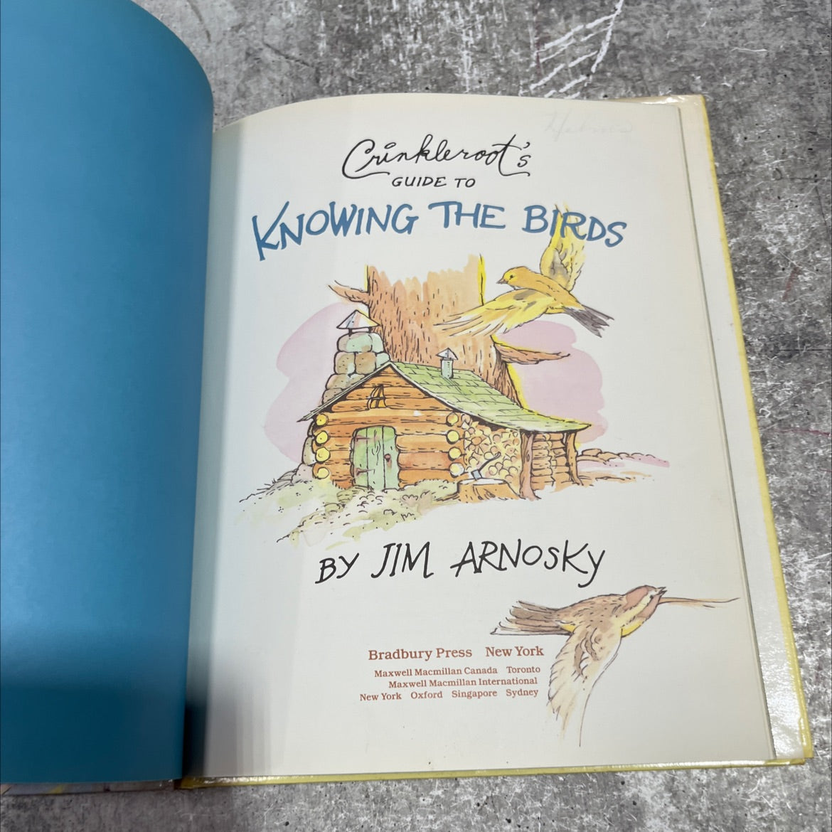 crinkleroot's guide to knowing the birds book, by Jim Arnosky, 1992 Hardcover image 2