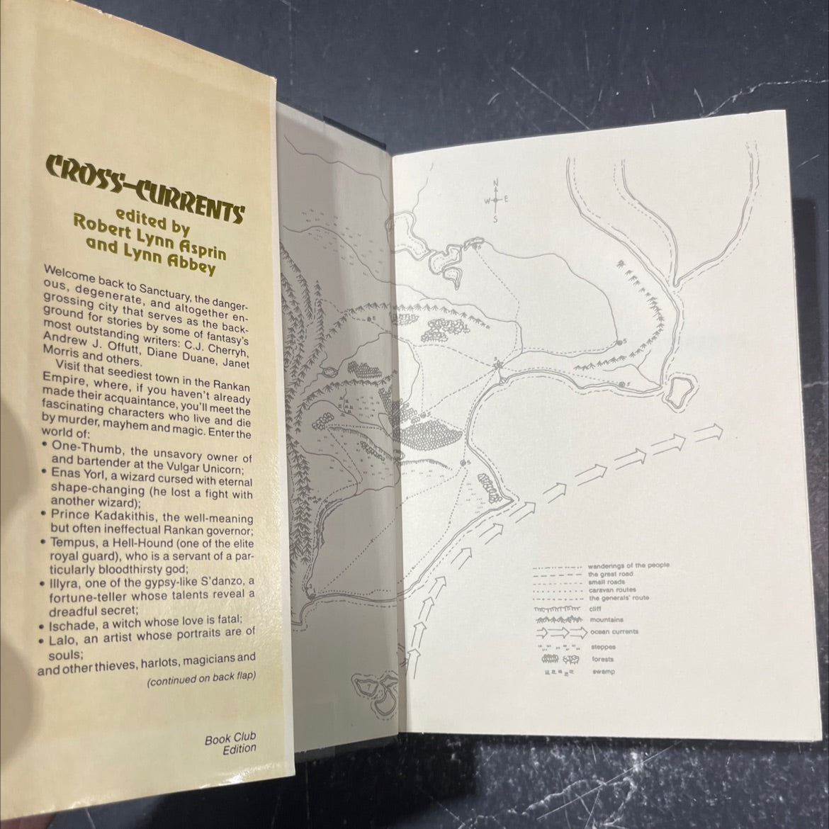 cross-currents storm season the face of chaos wings of omen book, by Robert Asprin and Lynn Abbey, 1984 Hardcover image 4