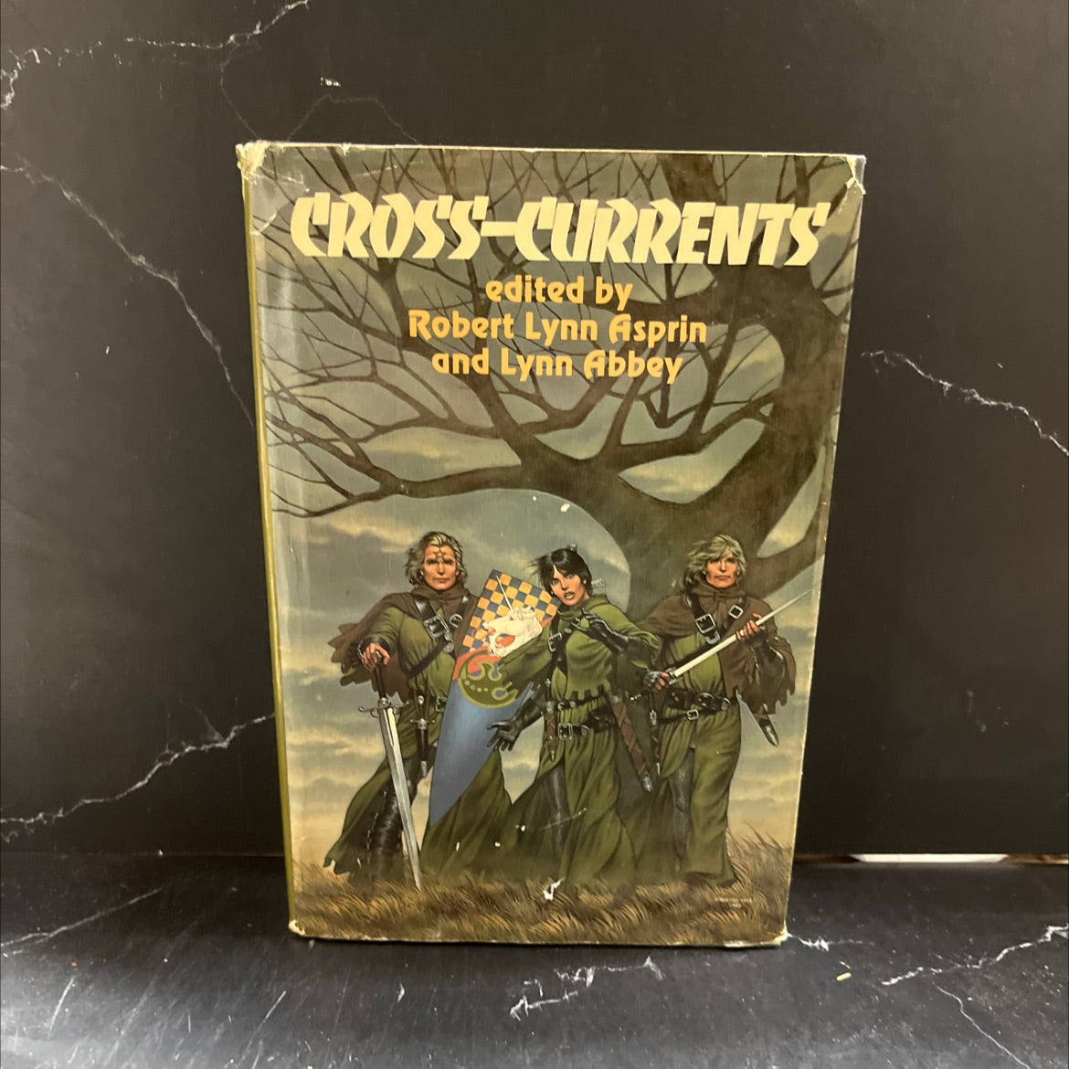 cross-currents storm season the face of chaos wings of omen book, by Robert Asprin and Lynn Abbey, 1984 Hardcover image 1