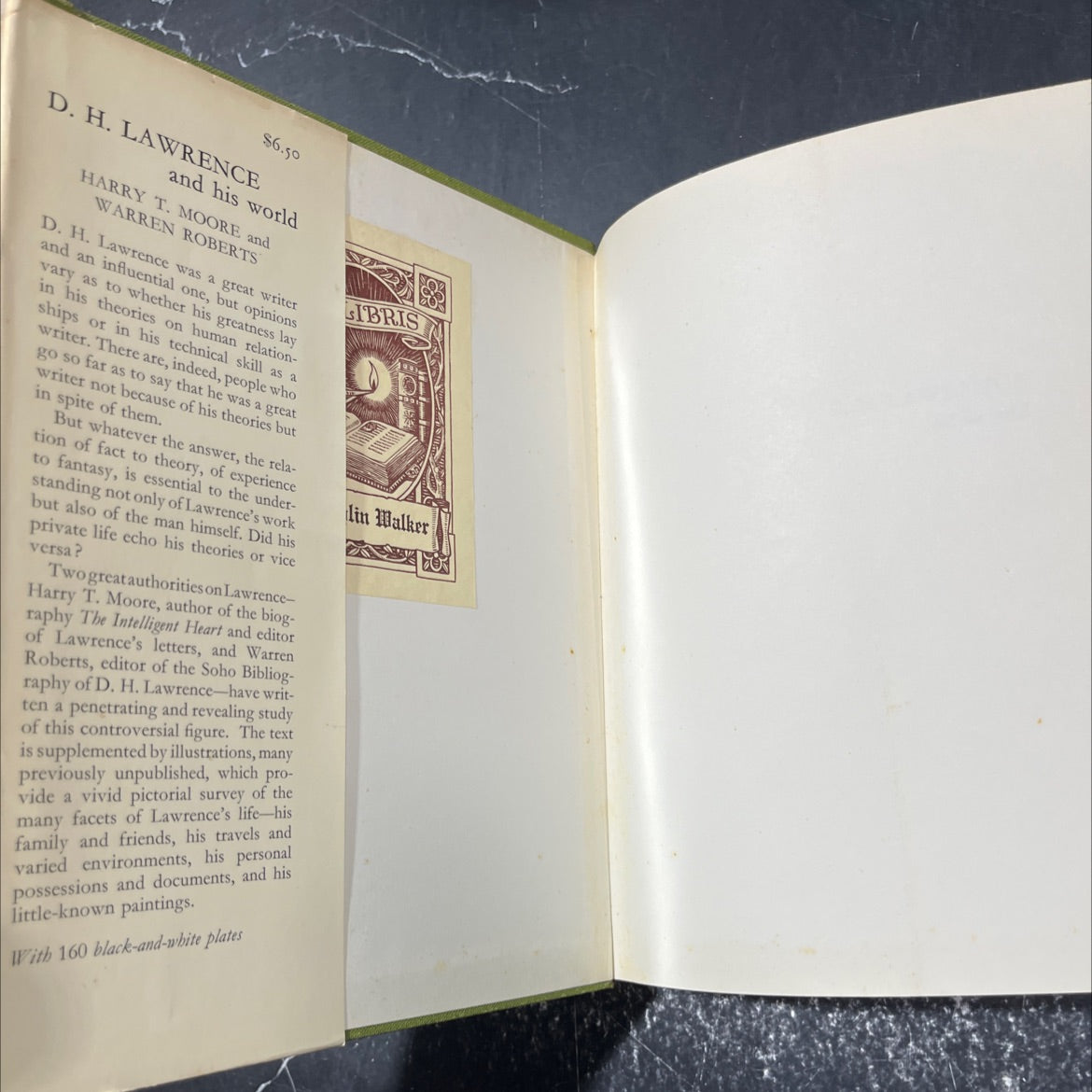 d. h. lawrence and his world book, by harry t. moore and warren roberts, 1966 Hardcover image 4