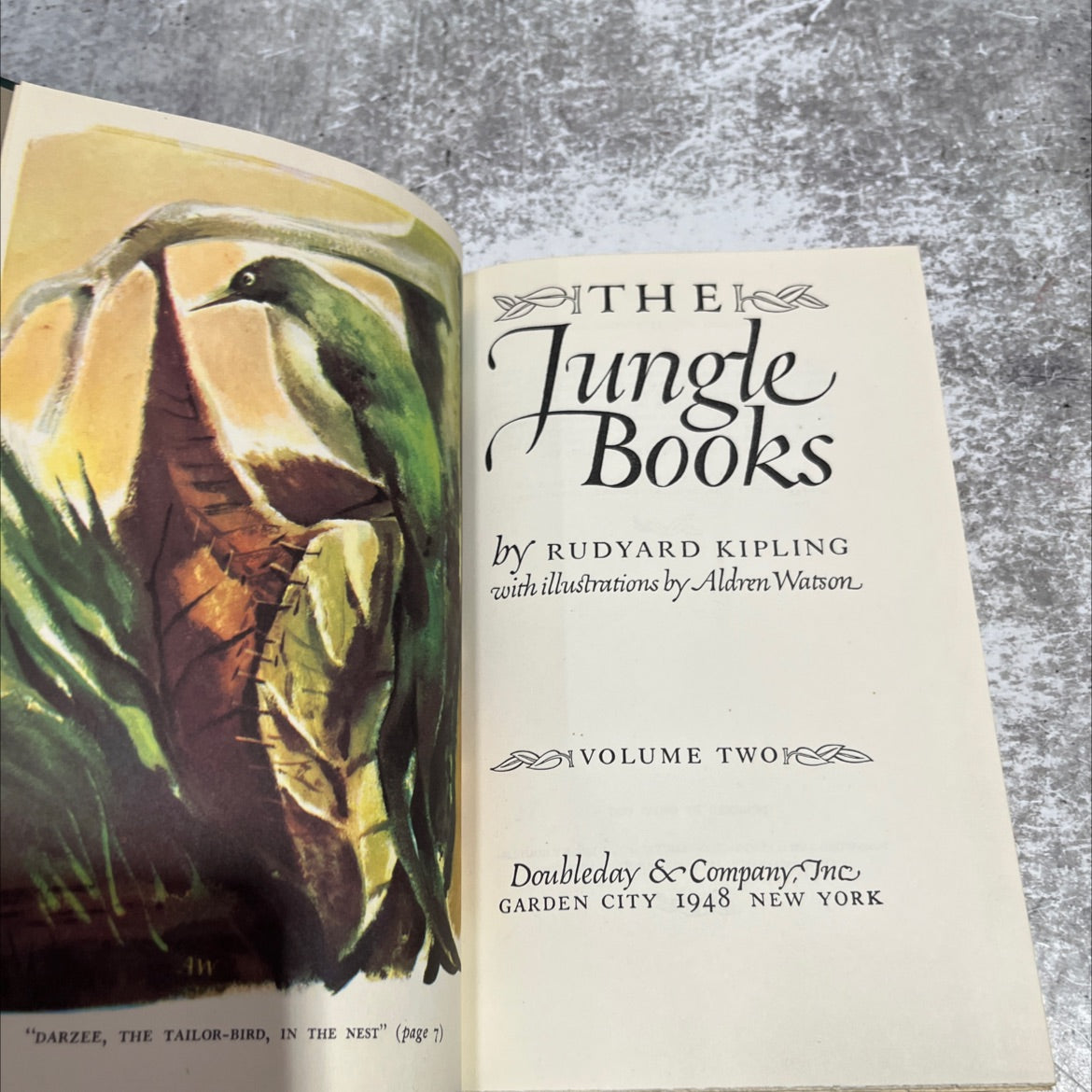 darzee, the tailor-bird, in the nest book, by rudyard kipling, 1948 Hardcover image 2