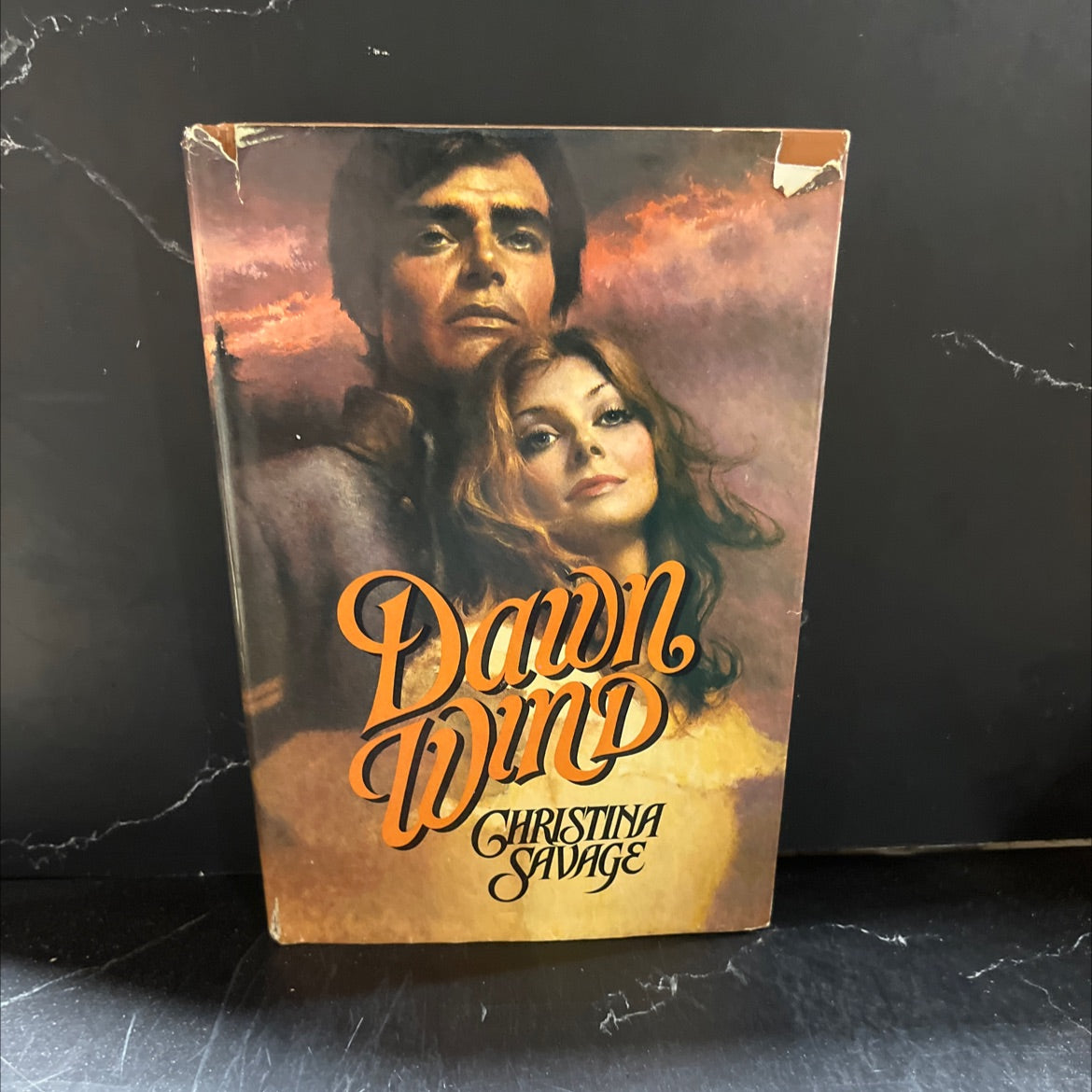 dawn wind book, by christina savage, 1980 Hardcover image 1