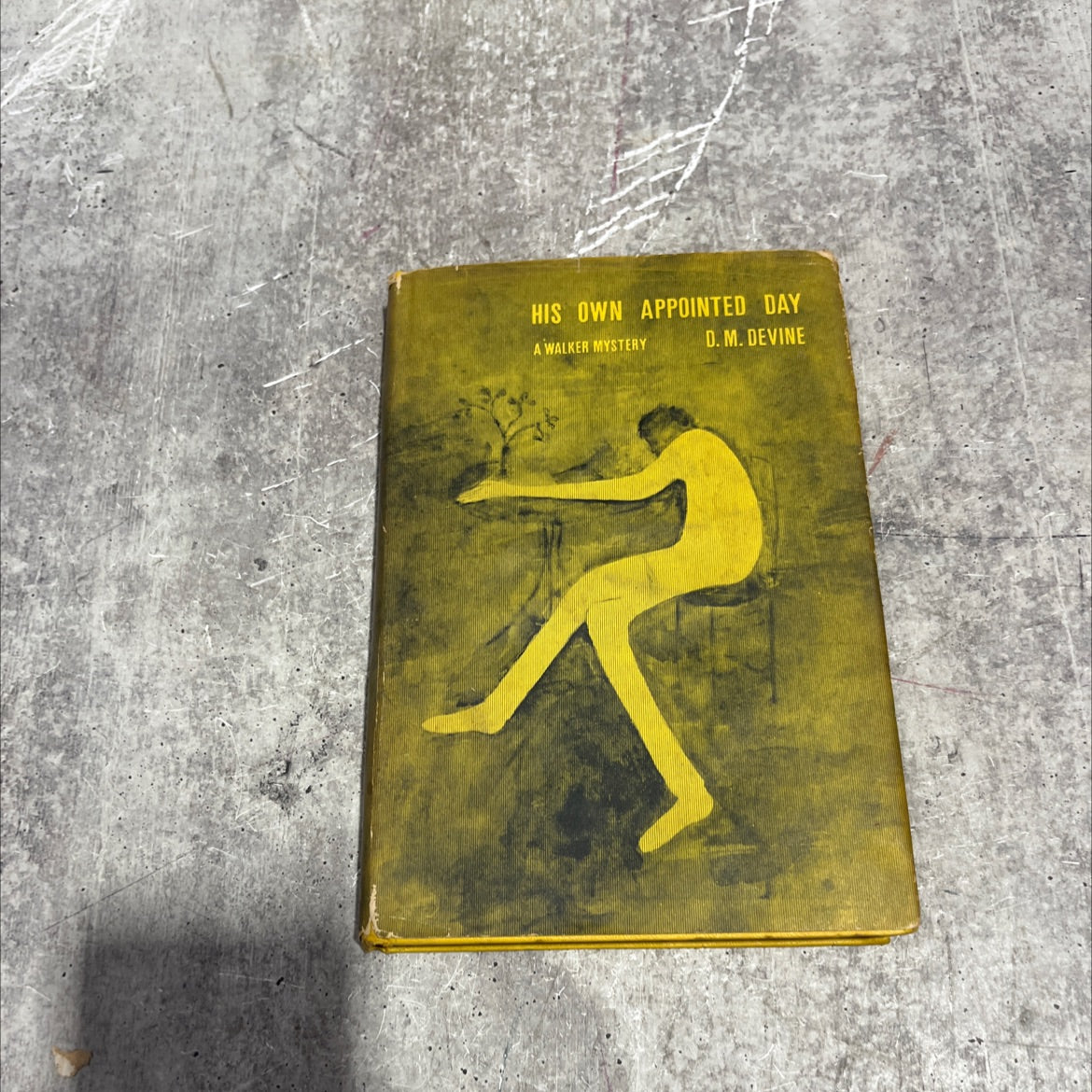 de his own appointed day book, by d. m. devine, 1966 Hardcover image 1