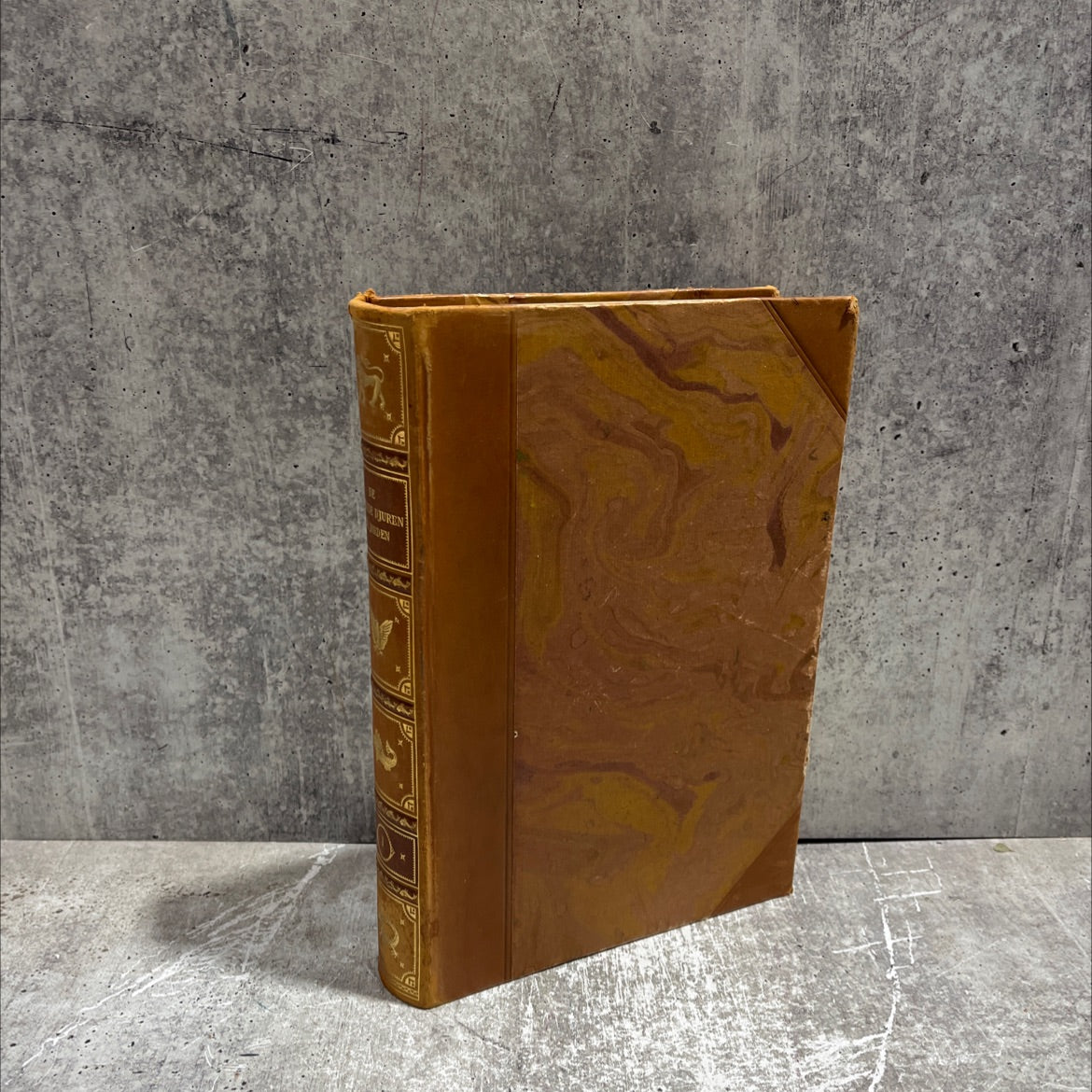 de levande djuren på jorden populära skildringar från livet i naturen book, by charles j. cornish, 1925 Hardcover image 1