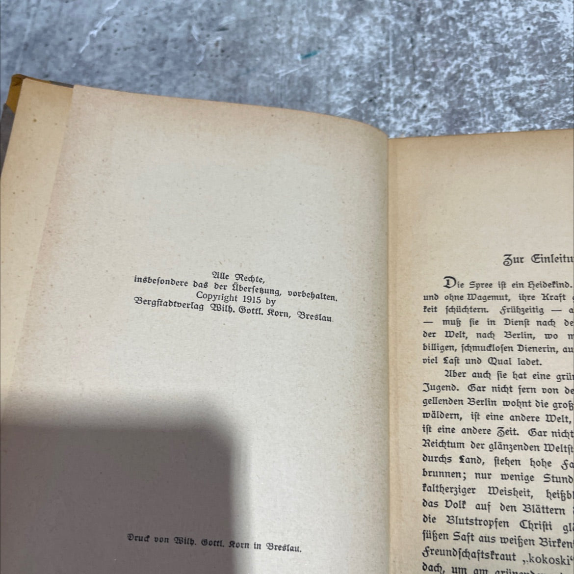 die alte krone roman aus wendenland book, by paul keller, 1915 Hardcover image 3