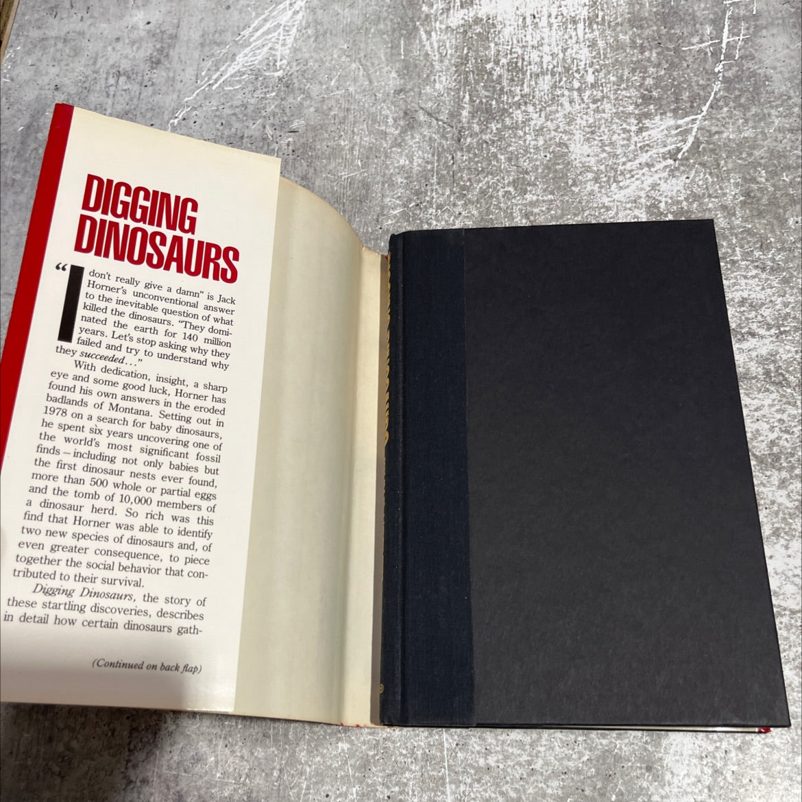 digging dinosaurs book, by john r. horner and james gorman, 1988 Hardcover image 4