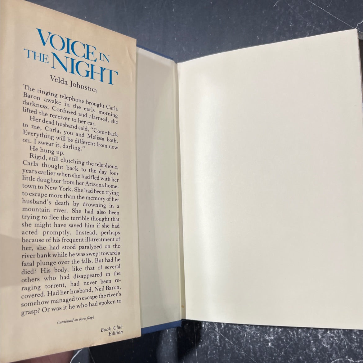 diov thom voice in the night book, by Velda Johnston, 1984 Hardcover image 4