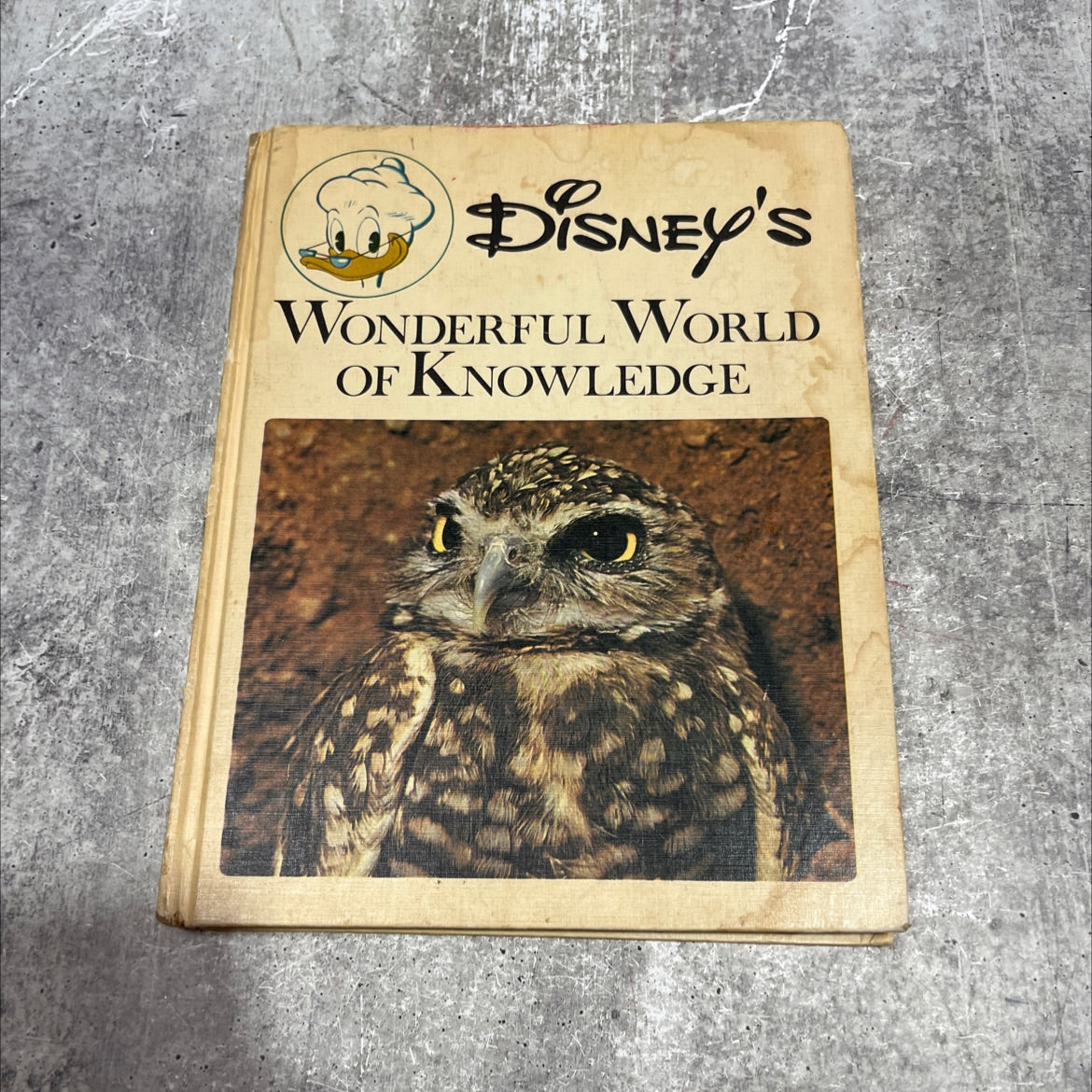disney's wonderful world of knowledge book, by robert b. clarke, robert g. bartner, gilbert evans, jack jaget, 1971 image 1
