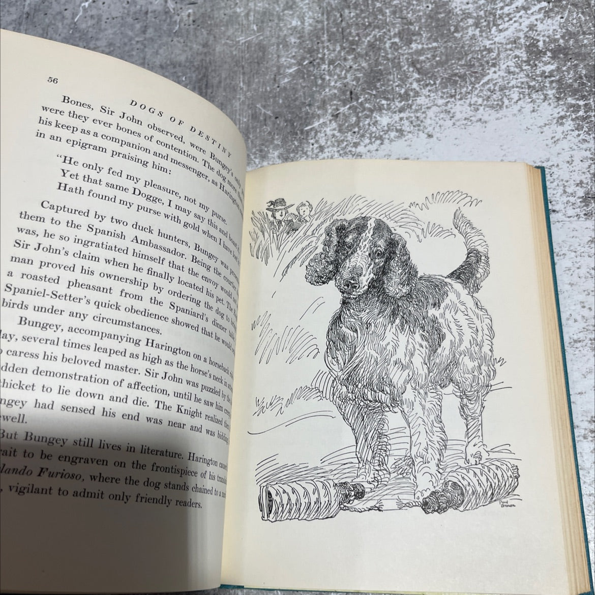 dogs of destiny book, by fairfax downey, 1949 Hardcover image 4