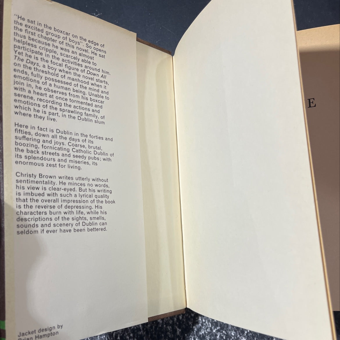 down all the days book, by christy brown, 1970 Hardcover image 4