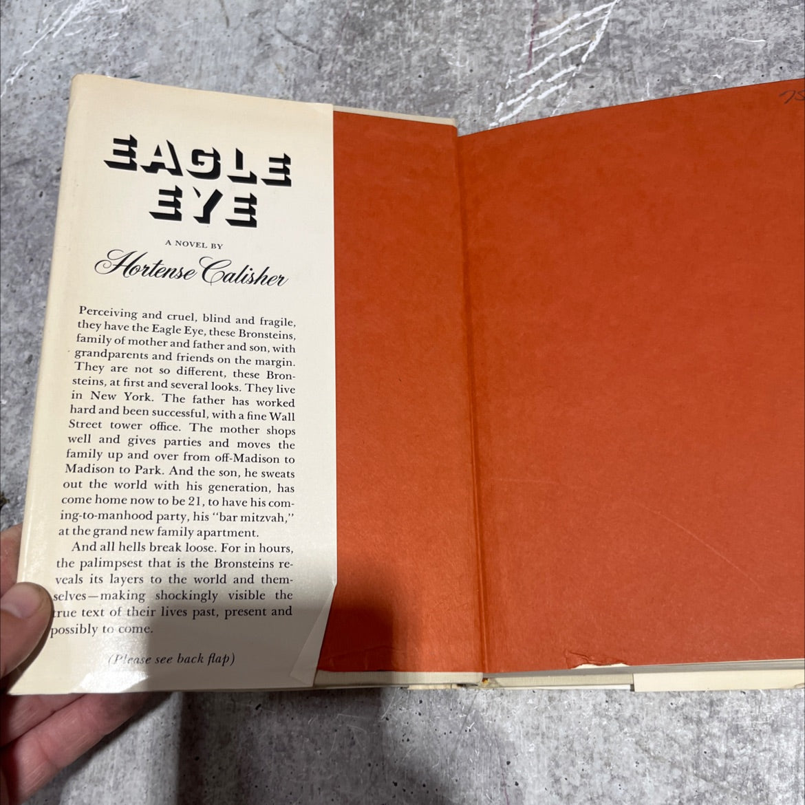 eagle eve book, by Hortense Calisher, 1973 Hardcover image 4