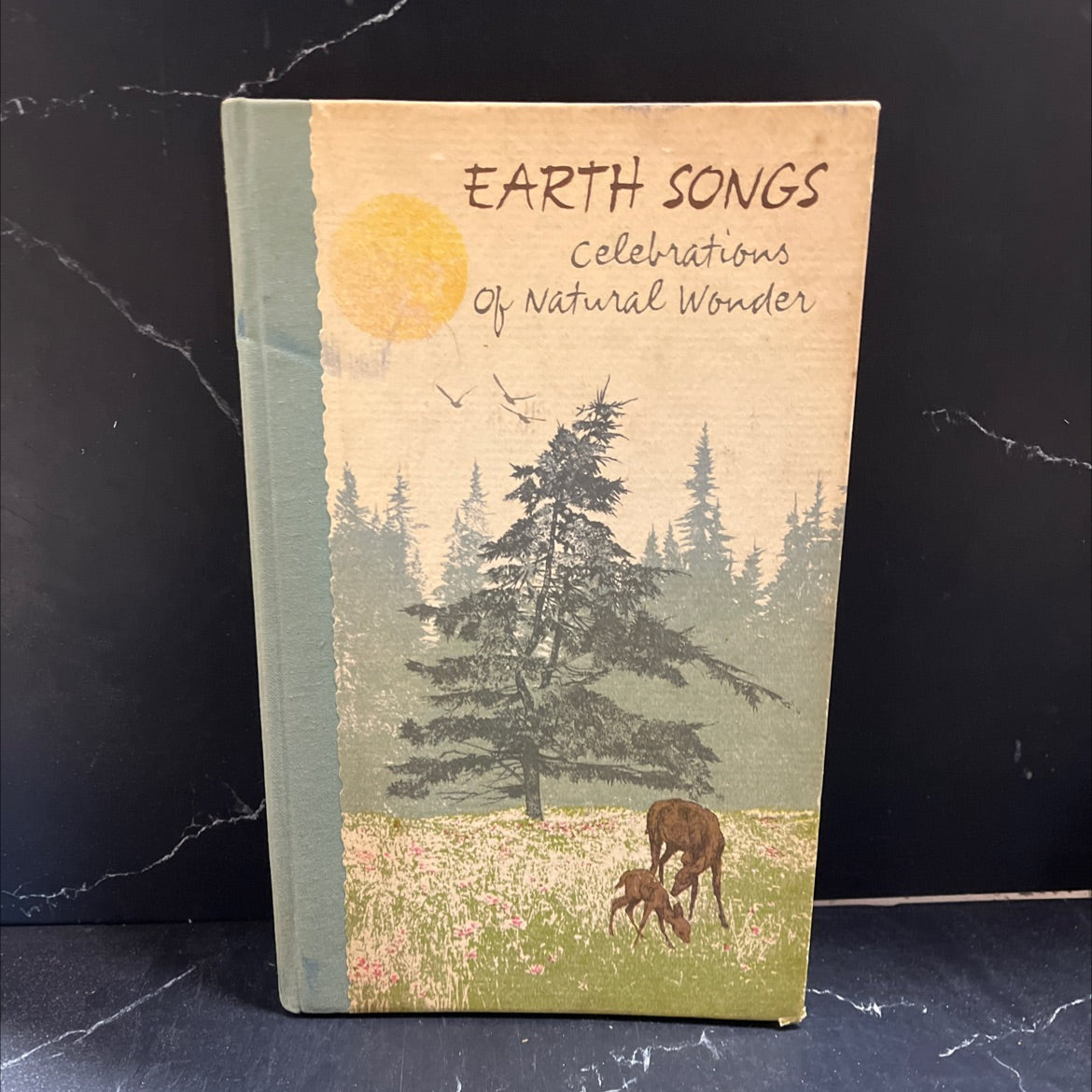 earth songs celebrations of natural wonder book, by Edward Cunningham, 1974 Hardcover image 1