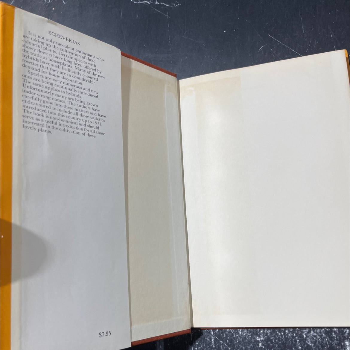 echeverias a guide to cultivation and identification of the popular american succulents book, by l. carruthers and r. image 4