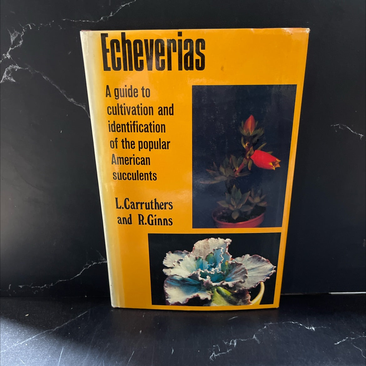 echeverias a guide to cultivation and identification of the popular american succulents book, by l. carruthers and r. image 1