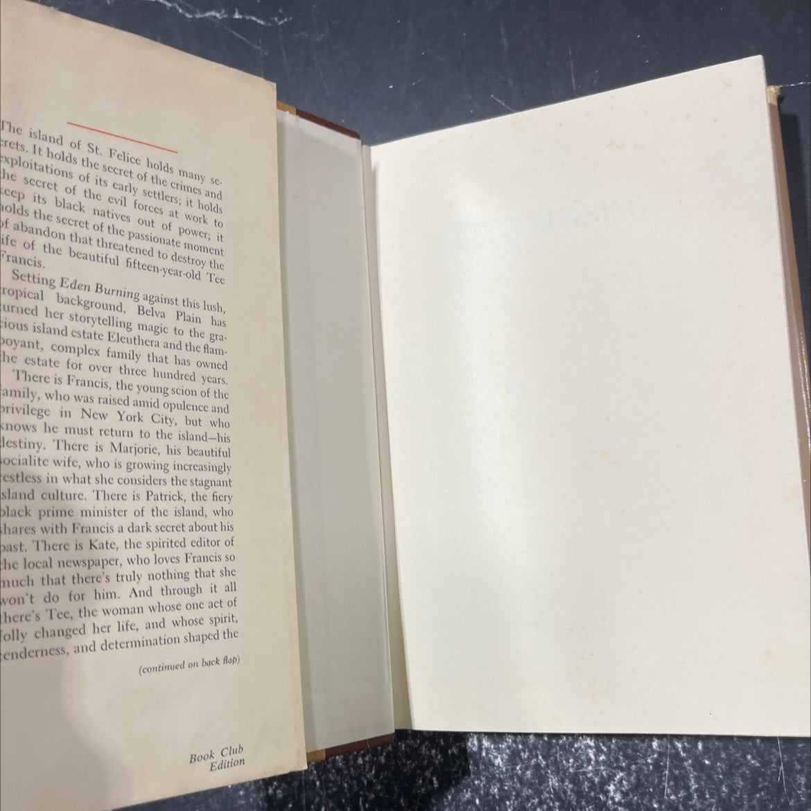 eden burning book, by belva plain, 1982 Hardcover image 4