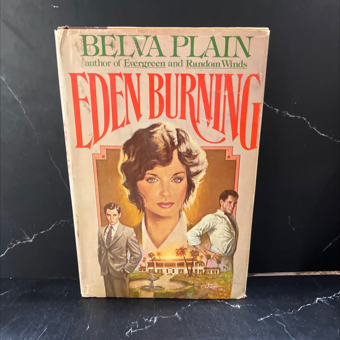 eden burning book, by belva plain, 1982 Hardcover image 1